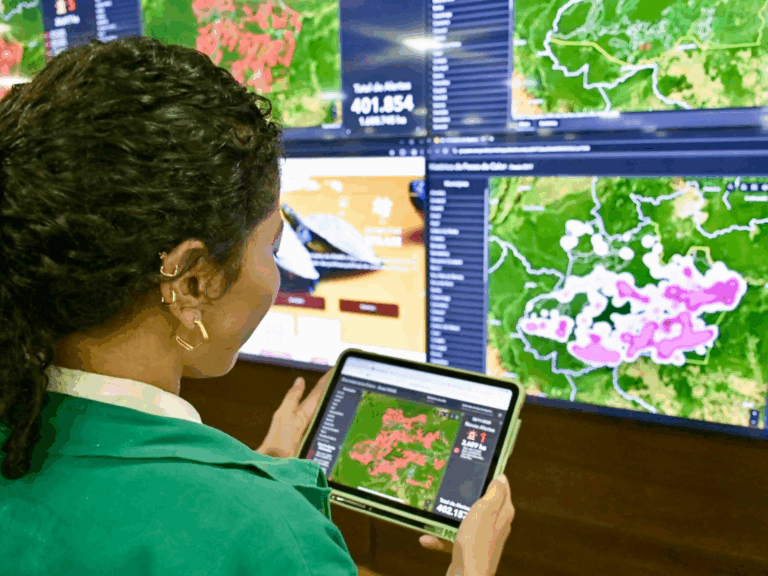 Amazonas registra menor número de focos de calor em outubro em mais de 10 anos