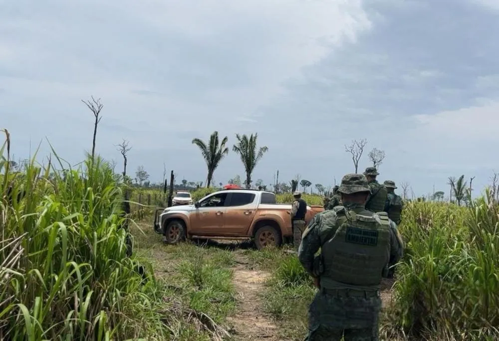 Operação Tamoiotatá 5 aplica mais de R$ 5 milhões em multas